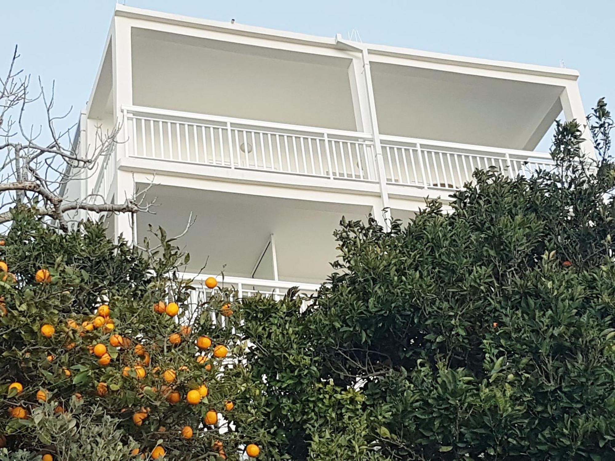 Apartmani Anda Živogošće 外观 照片
